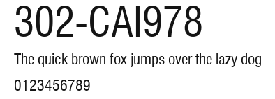 302-CAI978 Preview