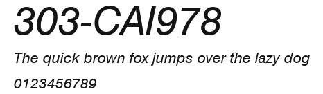 303-CAI978 Preview