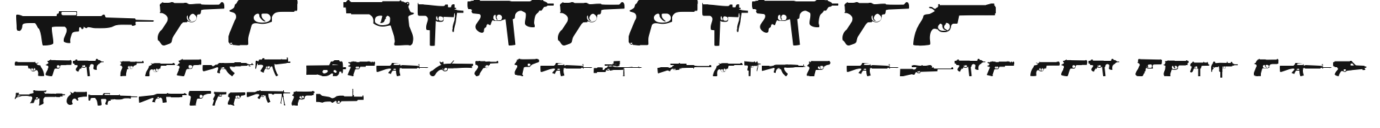 2nd Amendment Preview