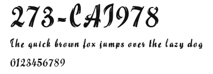 273-CAI978 Preview