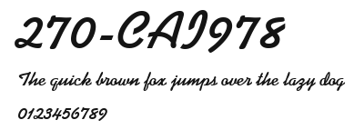 270-CAI978 Preview
