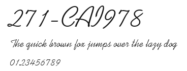 271-CAI978 Preview