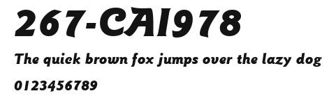 267-CAI978 Preview