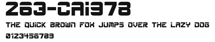 263-CAI978 Preview