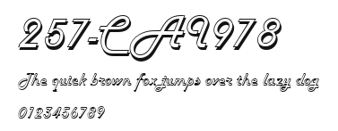 257-CAI978 Preview