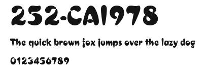 252-CAI978 Preview
