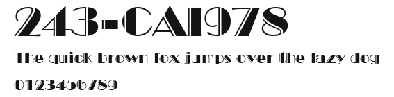 243-CAI978 Preview