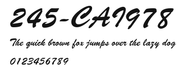 245-CAI978 Preview