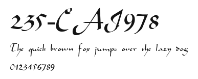 235-CAI978 Preview