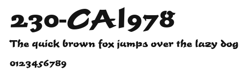 230-CAI978 Preview