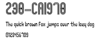 238-CAI978 Preview