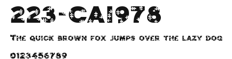 223-CAI978 Preview