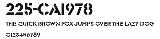 225-CAI978 Preview