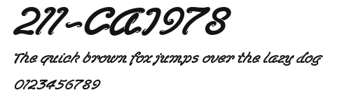 211-CAI978 Preview