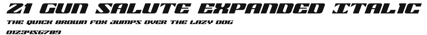 21 Gun Salute Expanded Italic Preview