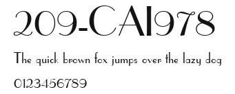 209-CAI978 Preview
