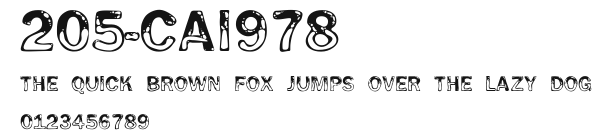 205-CAI978 Preview