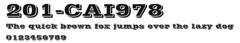 201-CAI978 Preview