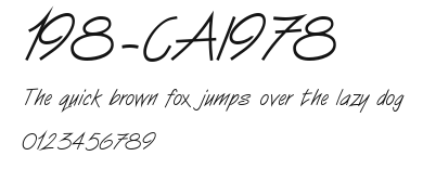 198-CAI978 Preview