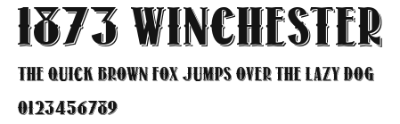 1873 Winchester Preview