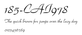 185-CAI978 Preview