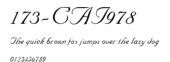 173-CAI978 Preview