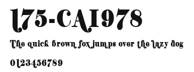 175-CAI978 Preview