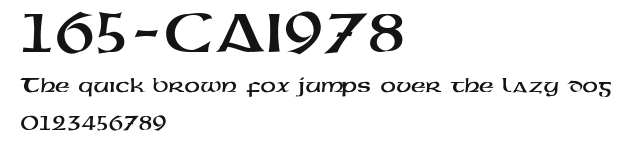 165-CAI978 Preview