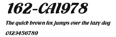 162-CAI978 Preview