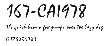 167-CAI978 Preview