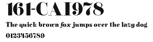 161-CAI978 Preview