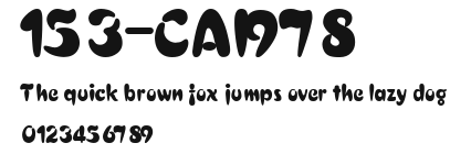 153-CAI978 Preview
