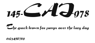 145-CAI978 Preview