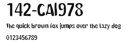 142-CAI978 Preview