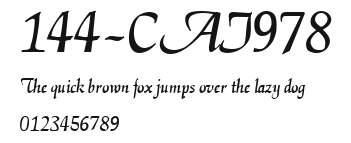 144-CAI978 Preview