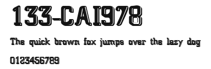 133-CAI978 Preview