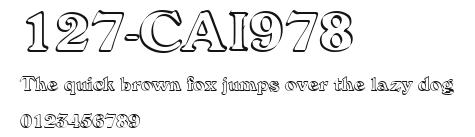 127-CAI978 Preview