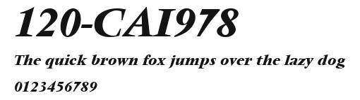 120-CAI978 Preview