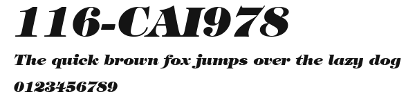 116-CAI978 Preview