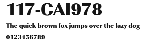 117-CAI978 Preview
