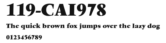 119-CAI978 Preview