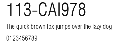 113-CAI978 Preview