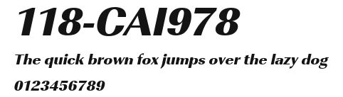118-CAI978 Preview