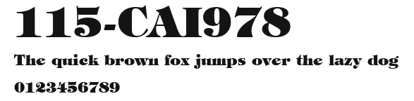 115-CAI978 Preview