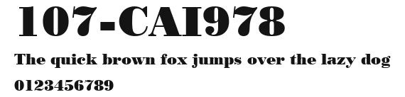 107-CAI978 Preview