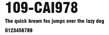 109-CAI978 Preview