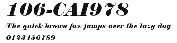 106-CAI978 Preview