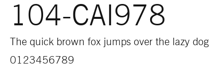 104-CAI978 Preview