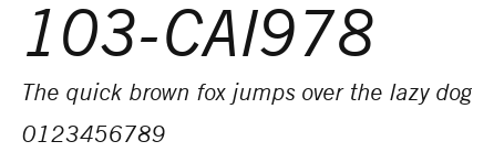 103-CAI978 Preview