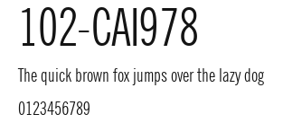 102-CAI978 Preview